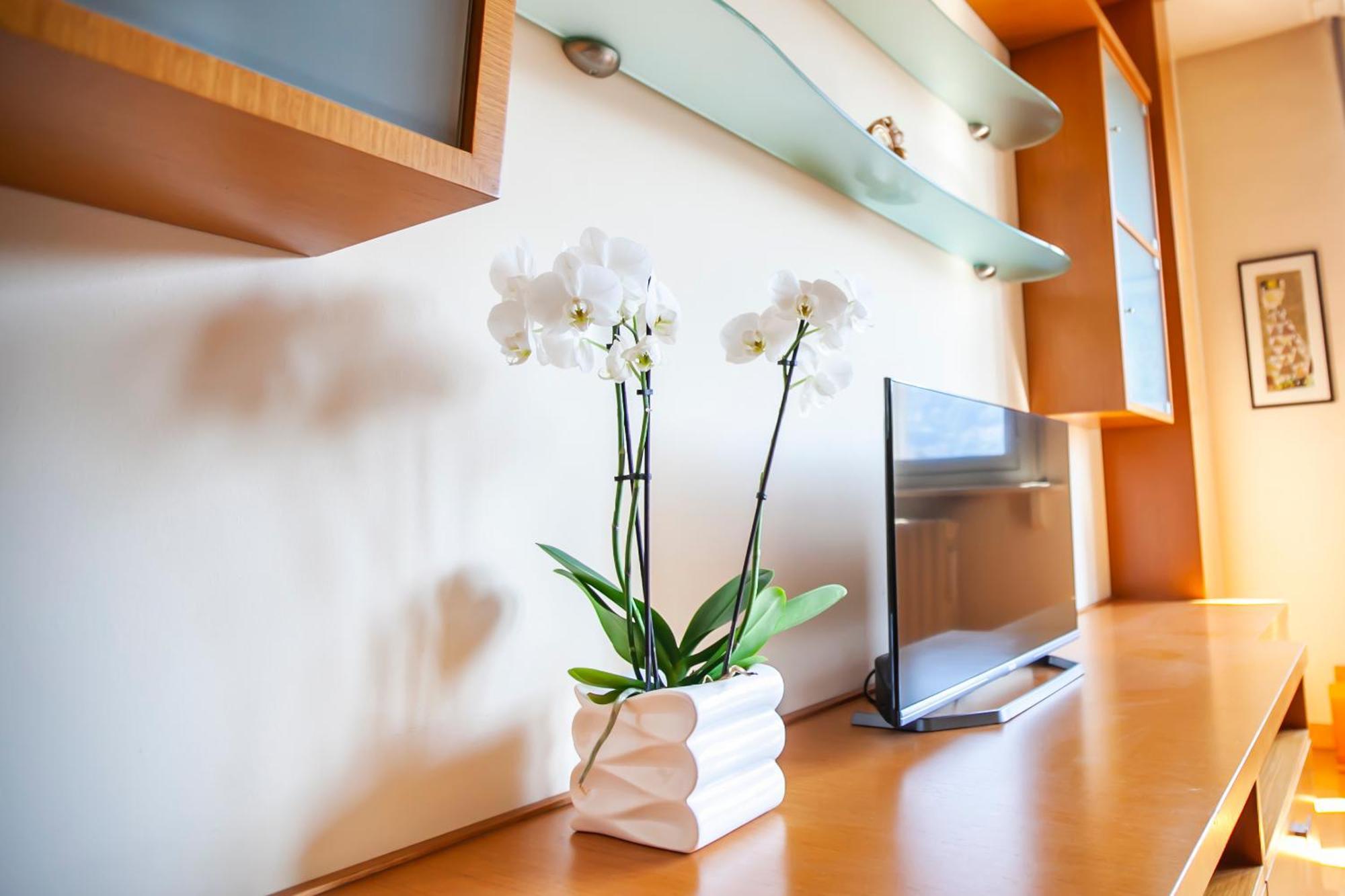 Skyline Apartman Como Kültér fotó